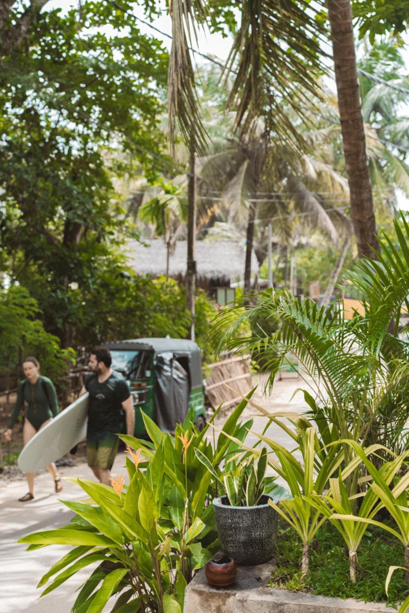 Taboo Hotel Dikwella Ngoại thất bức ảnh